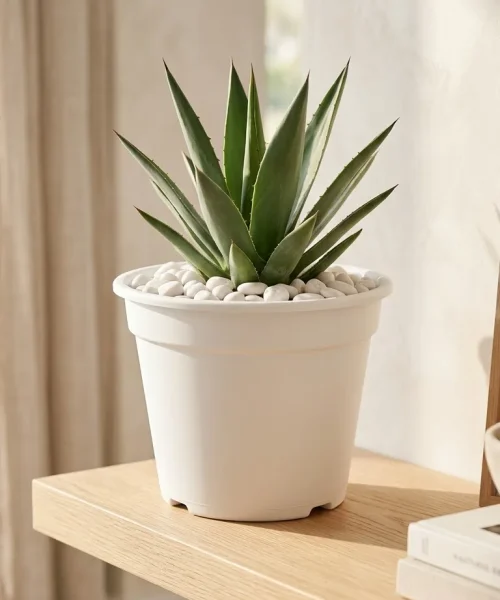 paint plastic pot like ceramic paint plastic pot like ceramic